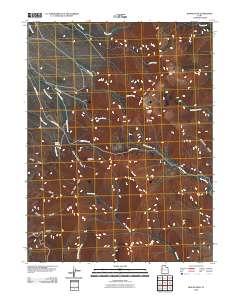 Ibapah Peak 2010 topographic map thumbnail