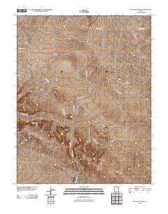 Gray Spot Rock 2010 topographic map thumbnail