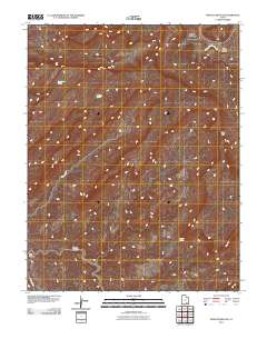Mancos Mesa NE 2011 topographic map thumbnail