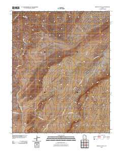 Mexican Hat SE 2010 topographic map thumbnail