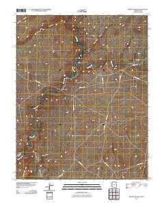 Mexican Water 2011 topographic map thumbnail