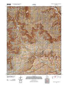 Lower Coyote Spring 2011 topographic map thumbnail