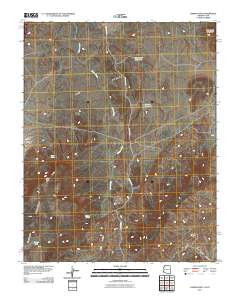 Lizard Point 2011 topographic map thumbnail