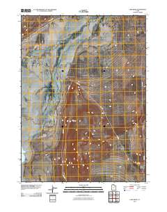Lake Ridge 2011 topographic map thumbnail