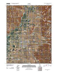Mount Pleasant 2011 topographic map thumbnail