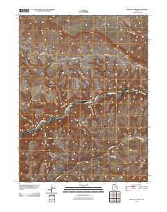 Pinnacle Canyon 2011 topographic map thumbnail