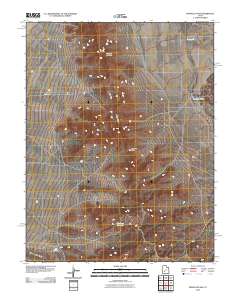 Pinnacle Pass 2010 topographic map thumbnail