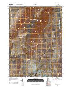 Salt Wells 2011 topographic map thumbnail