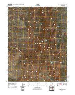 Rice Mountain 2011 topographic map thumbnail