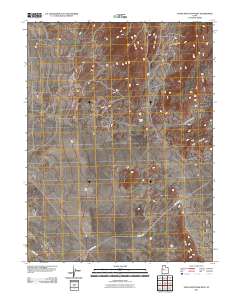 Topaz Mountain West 2011 topographic map thumbnail