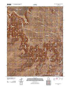 The Goosenecks 2010 topographic map thumbnail