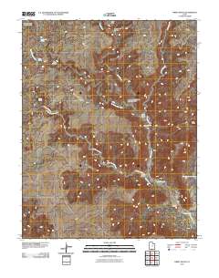 Tibbet Bench 2011 topographic map thumbnail
