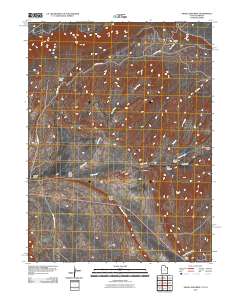 Snake John Reef 2011 topographic map thumbnail