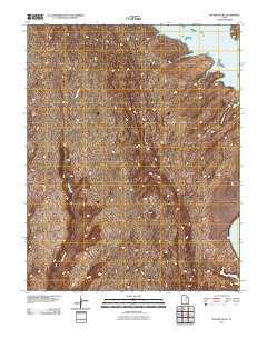 The Rincon NE 2011 topographic map thumbnail