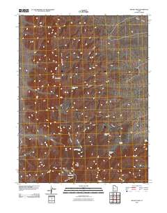Swasey Peak 2010 topographic map thumbnail