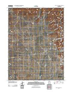 Tintic Junction 2010 topographic map thumbnail