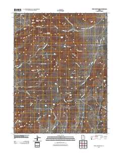 Tintic Mountain 2010 topographic map thumbnail