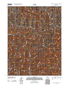 Tenmile Canyon South 2011 topographic map thumbnail