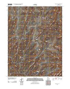 Wolf Flat 2011 topographic map thumbnail