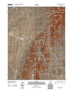 Tunnel Spring 2010 topographic map thumbnail