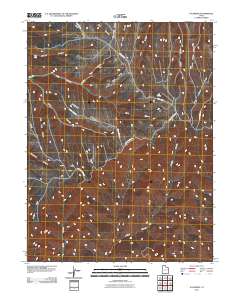 P R Spring 2011 topographic map thumbnail