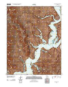 Nasja Mesa 2011 topographic map thumbnail