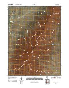 Pilot Peak 2011 topographic map thumbnail