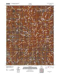 Mount Ellen 2010 topographic map thumbnail