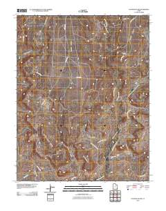 No-Mans Island 2010 topographic map thumbnail