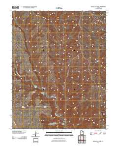 Needle Eye Point 2011 topographic map thumbnail