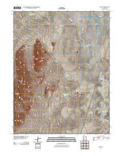 Neels 2011 topographic map thumbnail
