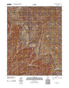 Pioneer Mesa 2011 topographic map thumbnail