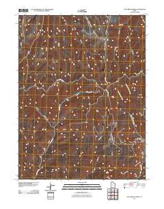 San Arroyo Ridge 2011 topographic map thumbnail