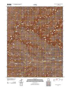 Pollys Pasture 2011 topographic map thumbnail