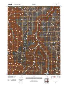 Walker Point 2011 topographic map thumbnail