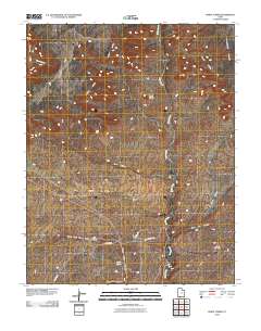 White Tower 2010 topographic map thumbnail