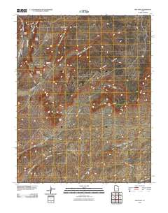 Pine Point 2010 topographic map thumbnail
