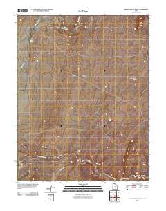 Baking Skillet Knoll 2010 topographic map thumbnail