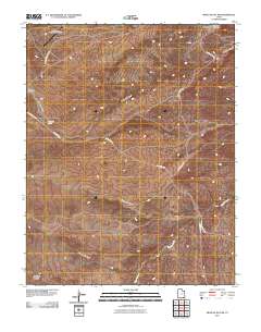 Mexican Hat SW 2011 topographic map thumbnail