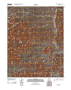 Bible Spring 2010 topographic map thumbnail