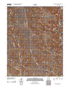 Bradford Canyon 2010 topographic map thumbnail