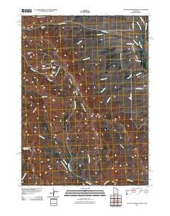 Cotton Thomas Basin 2011 topographic map thumbnail