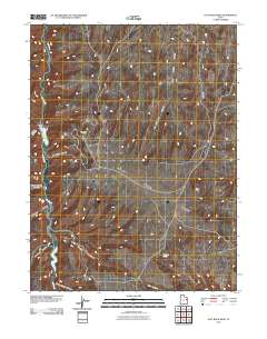 Flat Rock Mesa 2011 topographic map thumbnail