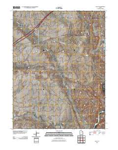 Cisco 2010 topographic map thumbnail
