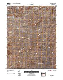 Cisco SW 2010 topographic map thumbnail