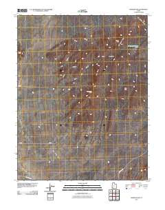 Badger Peak 2010 topographic map thumbnail
