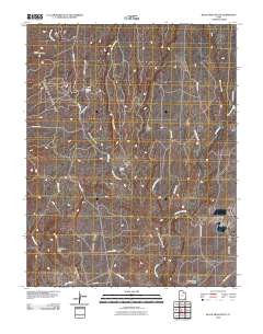 Black Mesa Butte 2010 topographic map thumbnail