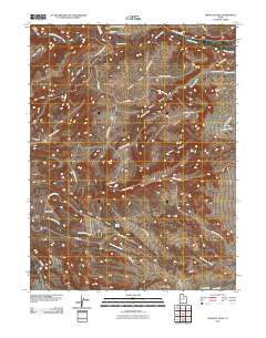 Pinnacle Peak 2011 topographic map thumbnail