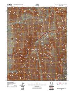 Mountain Sheep Spring 2011 topographic map thumbnail