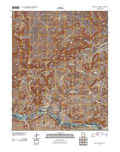 Montezuma Creek 2010 topographic map thumbnail
